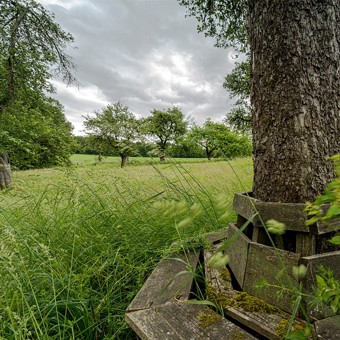 Schloss Ehreshoven Garten